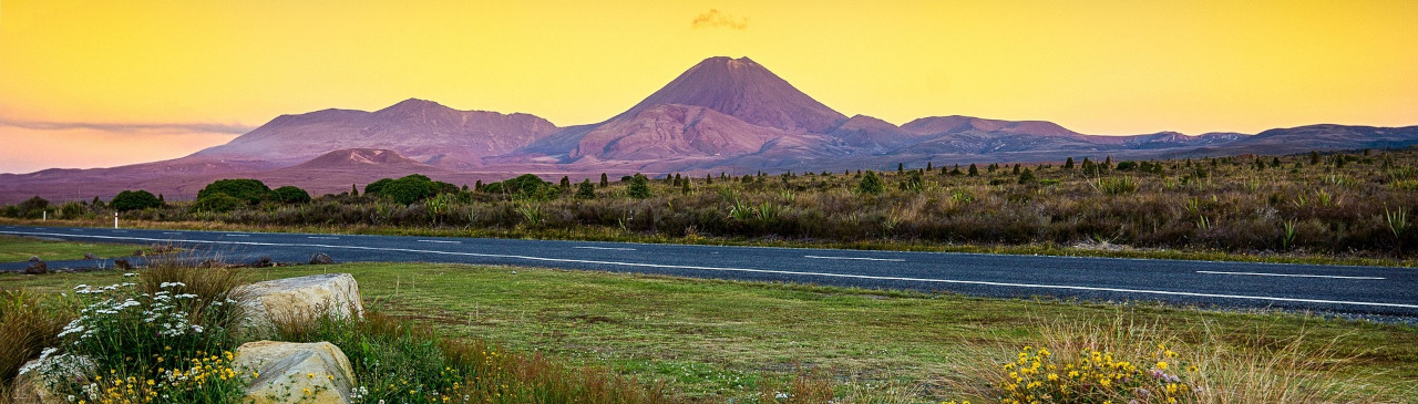 Straße mit Tongariro im Hintergrund
